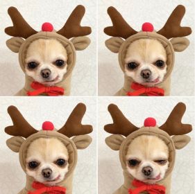 Christmas Dog Winter Warm Clothing Cute Plush Coat Hoodies Pet Costume Jacket For Puppy Cat French Bulldog Chihuahua Small Dog Clothing (Color: Coffee, size: XS)